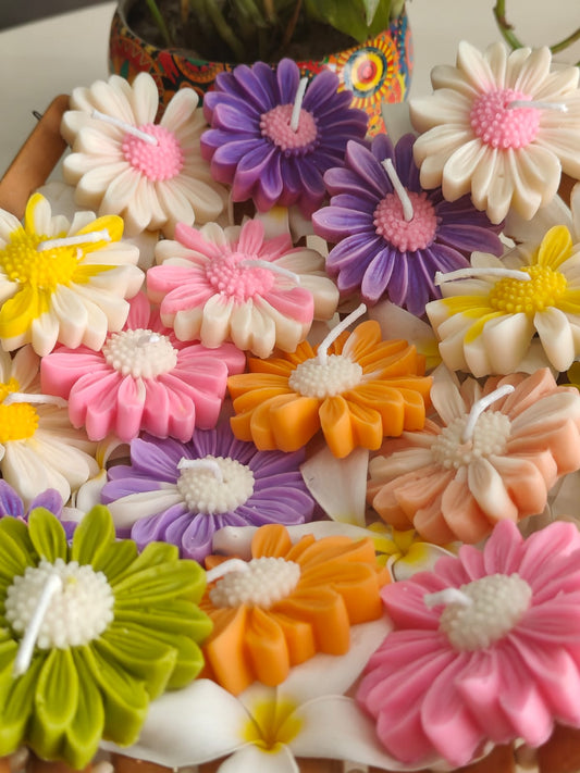 Daisy Candles – Set of 3 🌼