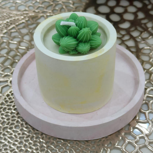 Succulent Concrete Jar Candle – Natural Wax
